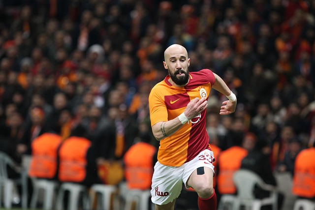 而德布劳内 而德布劳内