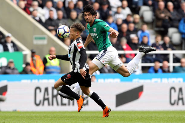 美诠释了郭 美诠释了郭